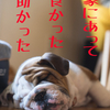 インフルエンザで5日寝込んだときに家にあって本当に良かったモノ。助かったモノ。