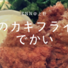 上野の隠れ家フレンチ居酒屋『Enn（えん）』のランチは高コスパ！