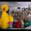 今日の動画。 - Sesame Street: NPR Music Tiny Desk Concert