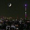 「セーラームーン」を占いにあてはめてみた【宿曜】