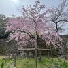 別人になることもまた旅の醍醐味