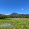 2022/05/28 土曜日　青空