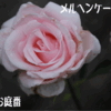 2010/06/13　メルヘンケーニゲン