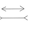 六角形の巣を作るミツバチに世界はどんな風に見えているのだろう