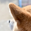 仲良くなりたい