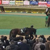 東京競馬10R 銀蹄ステークス パドック直前予想 ◎5 セイラ