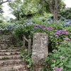 【伊豆下田】ぎりぎりセーフ？下田公園あじさい祭