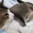 嵐のあとで ～After the Storm～