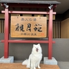 続　遠出