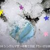 降り積もる雪は四年前のあの嫌な日を思い出してしまいます。