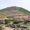 平治岳にお花見登山〜麗しのミヤマキリシマ〜