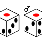 シャープとポンドとナンバー 牛の尾のスープ