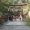 【京都】【野宮神社・御朱印】恋人を欲しい人！！野宮神社にお参りするのは一つの選択しになるかも～♪