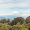 今朝の景色