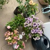 思いっきりガーデニングを楽しんだ日