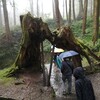 阿里山観光