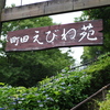 しょうぶ・あじさい まつり期間限定開苑中の「町田えびね苑」2023 