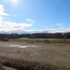 武蔵野公園（東京都小金井市・府中市）