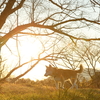 大晦日、夕暮れの時間