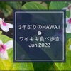 イズミック♫チャンネル3年ぶりのHAWAII❸アップしました