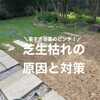【暑すぎる夏のピンチ！】芝生枯れの原因と対策