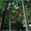 大神神社写真館（６/２０）