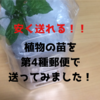 安く送れる！植物の苗を第４種郵便で送ってみました。
