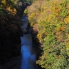 手取峡谷の紅葉「不老橋」