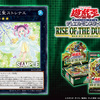 【遊戯王】新規カード《六花聖ストレナエ》が判明！【RISE OF THE DUELIST】