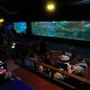 伊勢シーパラ　ふれあい魚館（再録）