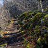 Shenandoah National Park最高峰、Mt. Hawksbillに登る。（後編）