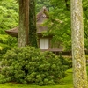 三千院　　　見どころはやはり往生極楽院！　巨大な阿弥陀さまが目の前に現れる