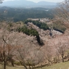 【春の絶景ドライブ】吉野山の「一目千本桜」で心洗われた日