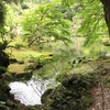 成田山新勝寺。ちーば探険隊