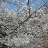 戸塚公園施設改良工事　終了