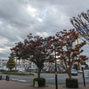 三嶋大社へ、ご挨拶