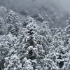 雪雲の中