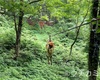 湯沢高原ジップラインを口コミする 〜子連れ新潟旅行記②