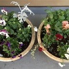冬の寄せ植え