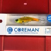 COREMAN / IP-13