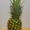 ぴえんが🍍を産んでるわけ？