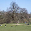 EASTER３日目 - HAMPSTEAD HEATH