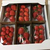 寒い冬にはやっぱり・・・