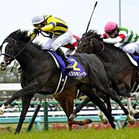 最後の息子とは 読書の人気 最新記事を集めました はてな