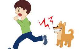 記事を見る