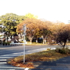 名古屋城周辺　護国神社前から西の丸へ