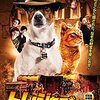 少年トレジャーハンター‼地元を救う？映画「トレジャー・ハウンド　～こちらワンワン探検隊」