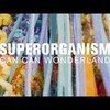 今日の動画。 - Superorganism (MicroShow for The Current)