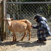 埼玉こども動物園