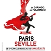 マヌーシュ・ジャズとフラメンコ音楽の魅力を伝えてくれるステージ、 Raphaël Faÿsの"Paris-Seville"